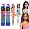 Mattel Barbie Beach Castana e Mora Coppia Bambole da Spiaggia con Costume da Mare