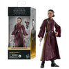 Hasbro Star Wars The Black Series Padmé Amidala action figure collezionabile 15 cm ispirata al film Star Wars La minaccia fantasma